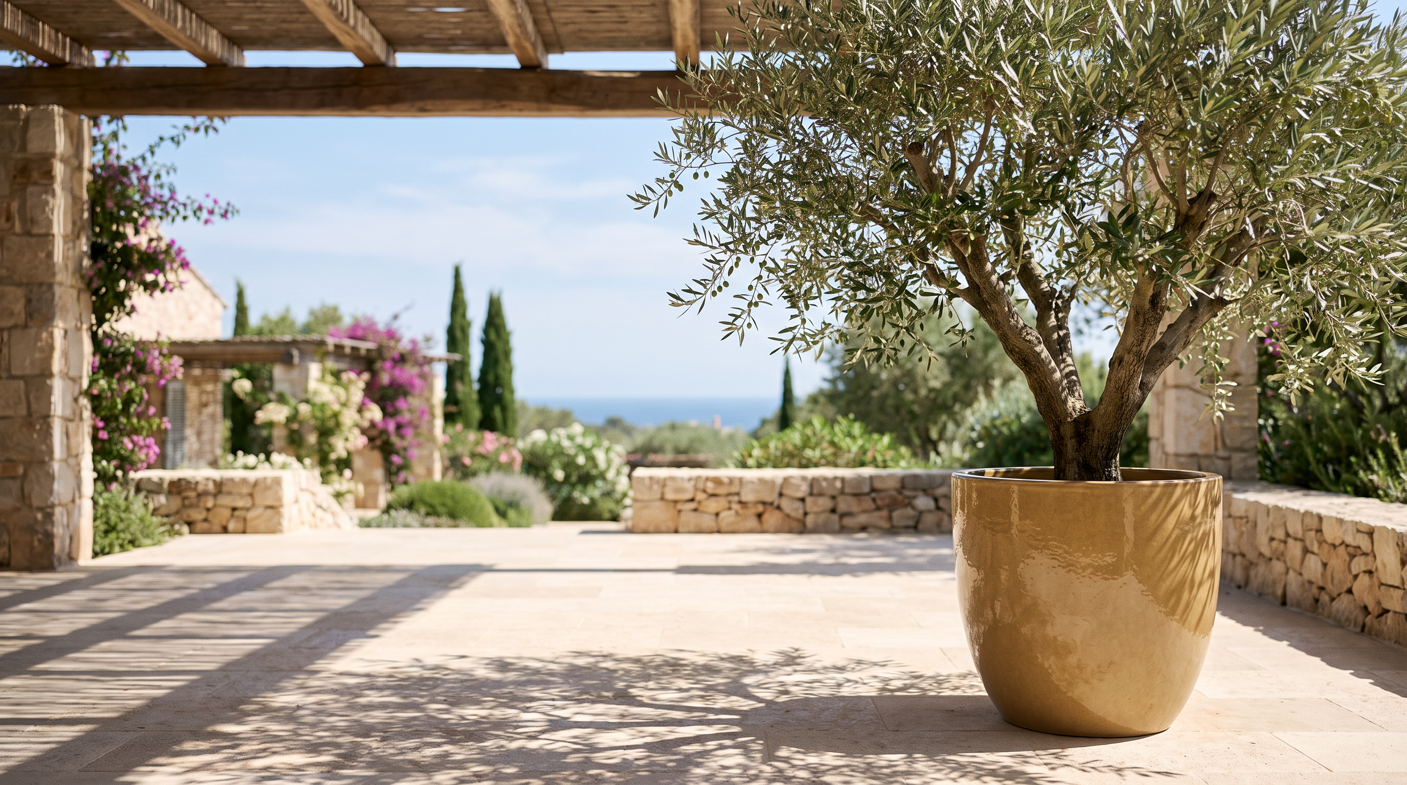 Canicule au jardin : bien choisir ses pots et plantes