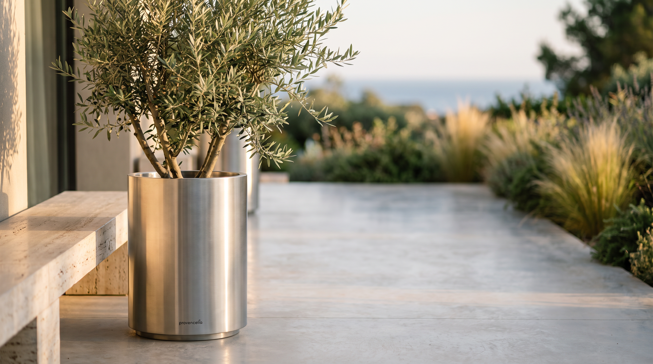 Pots en acier inoxydable : l'élégance contemporaine au jardin