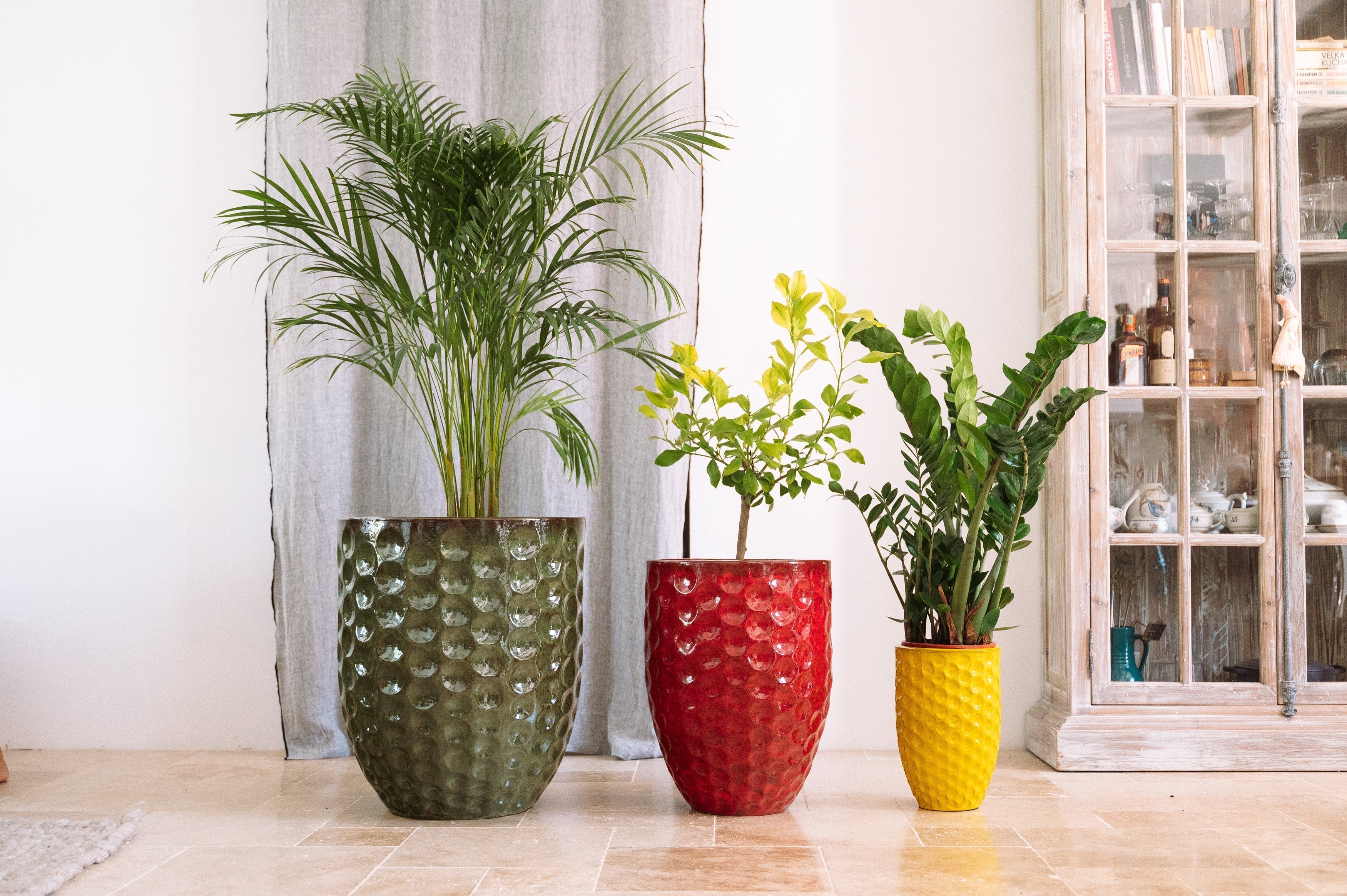 Quelle couleur de pot choisir pour sublimer votre jardin en 2026 ?