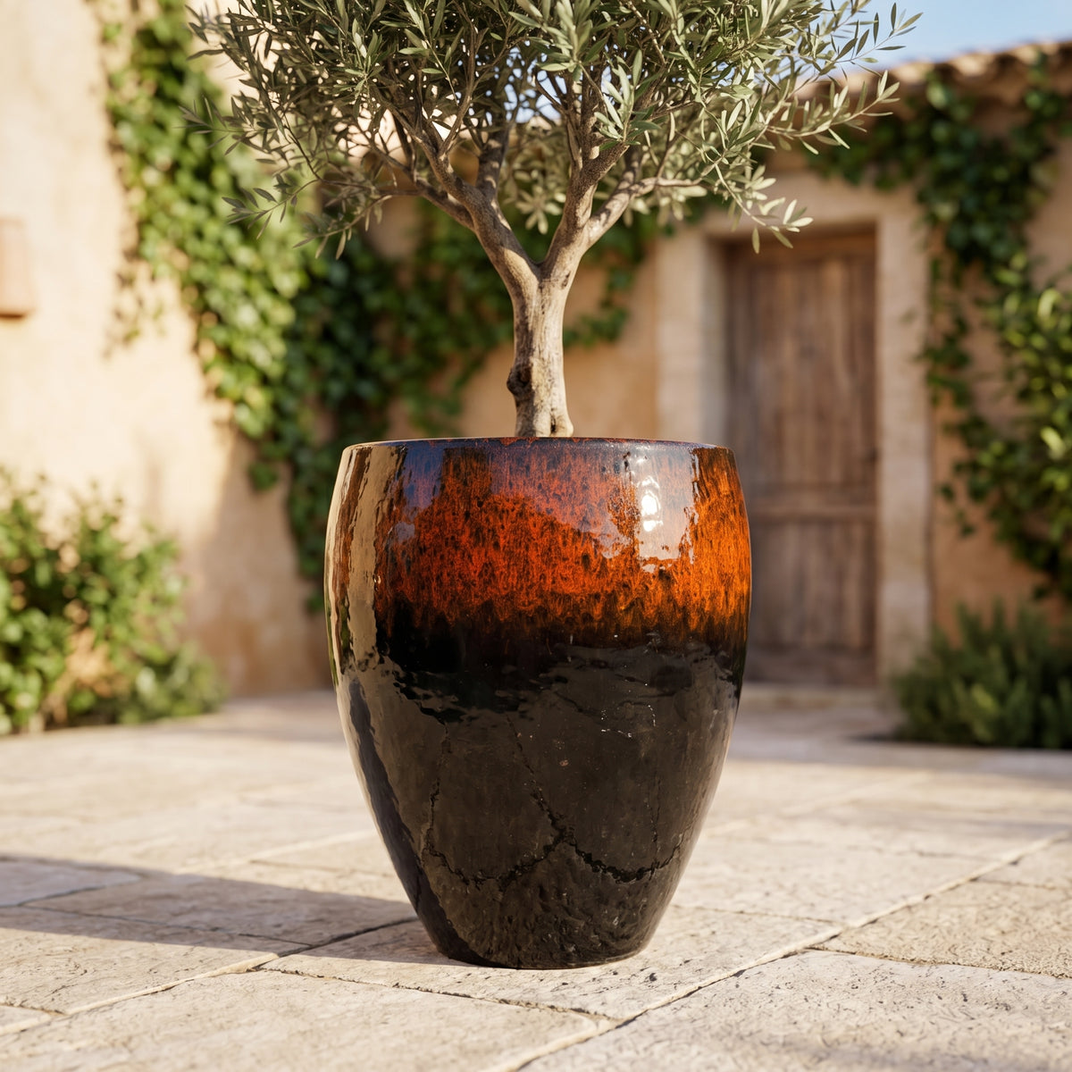 Macetero Poseidon2 36x43 cm negro y naranja de cerámica esmaltada, con un olivo frente a una entrada