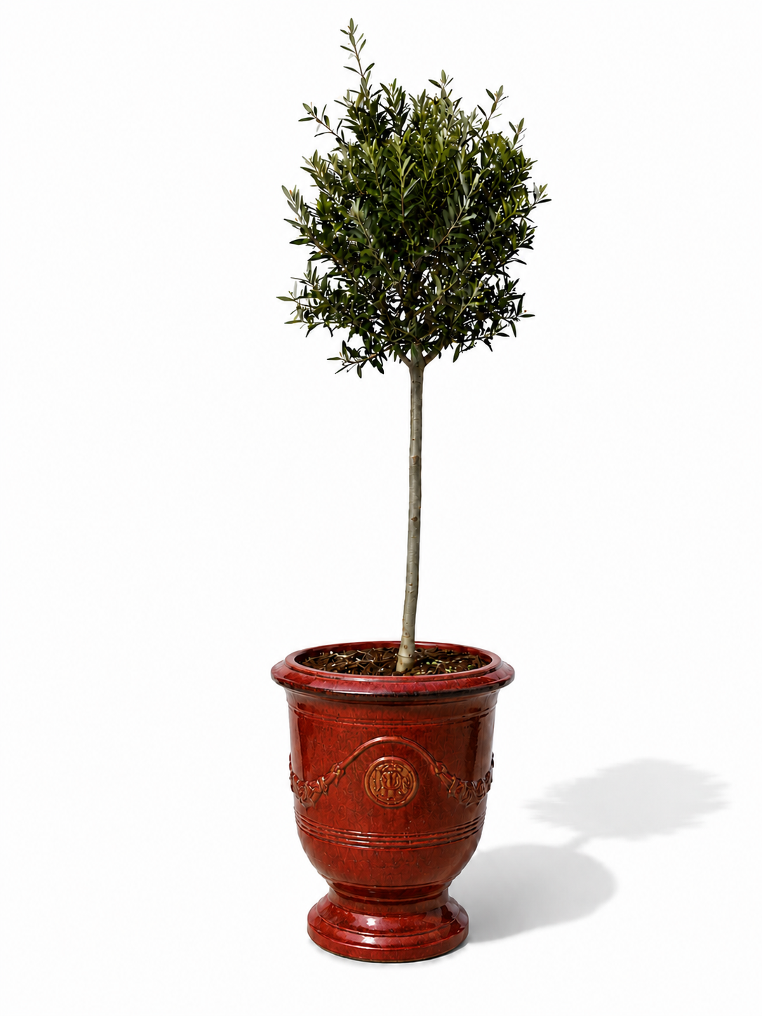 Lot olivier + pot RICHELIEU 46x56cm rouge brique, fait main en terre cuite émaillée