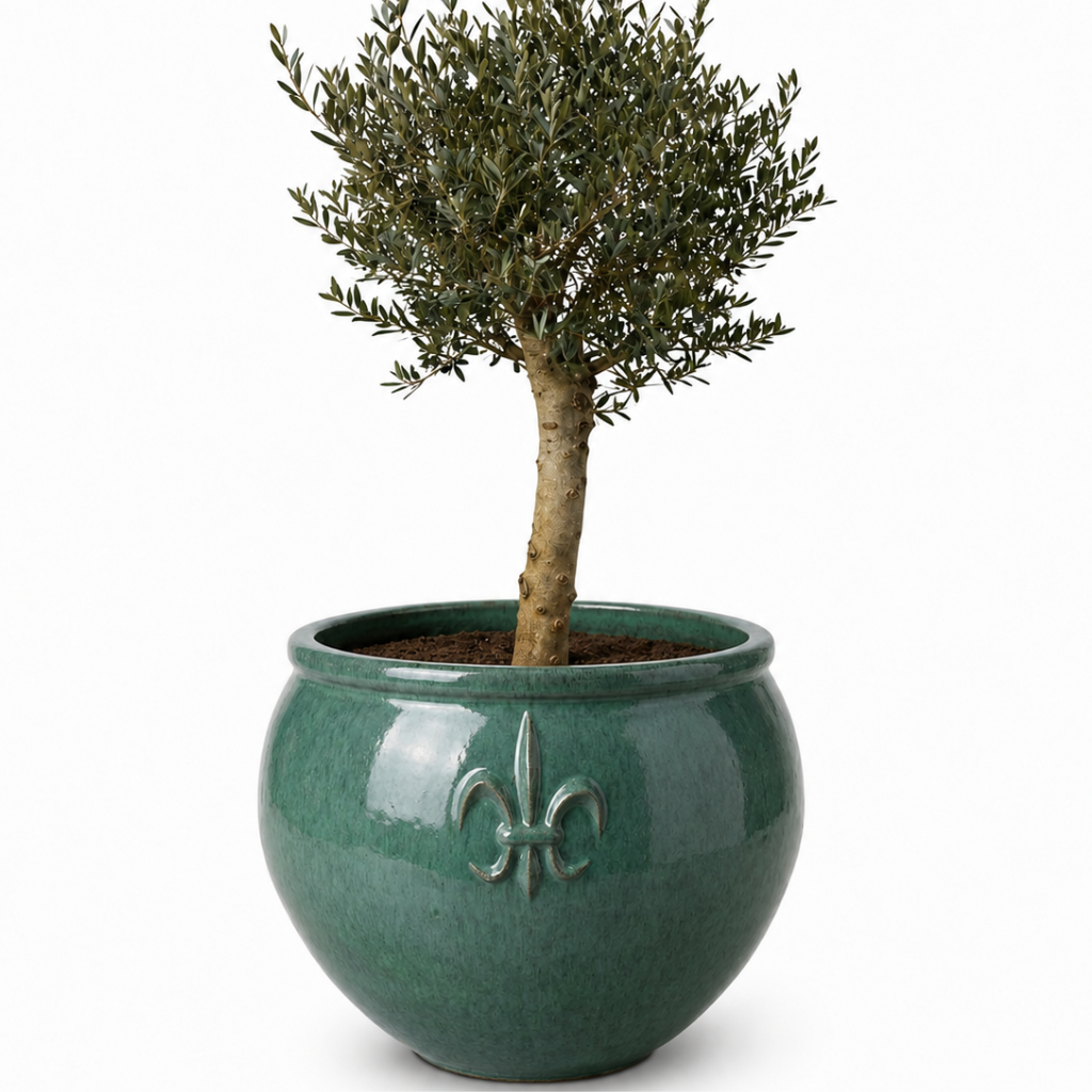 Lot olivier + pot CLOVIS 86x64cm jade, fait main en terre cuite émaillée