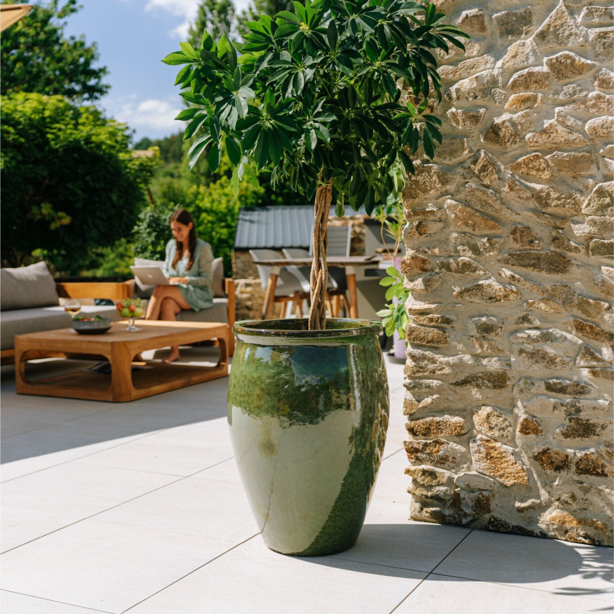 BACCHUS 50x68cm tropical green