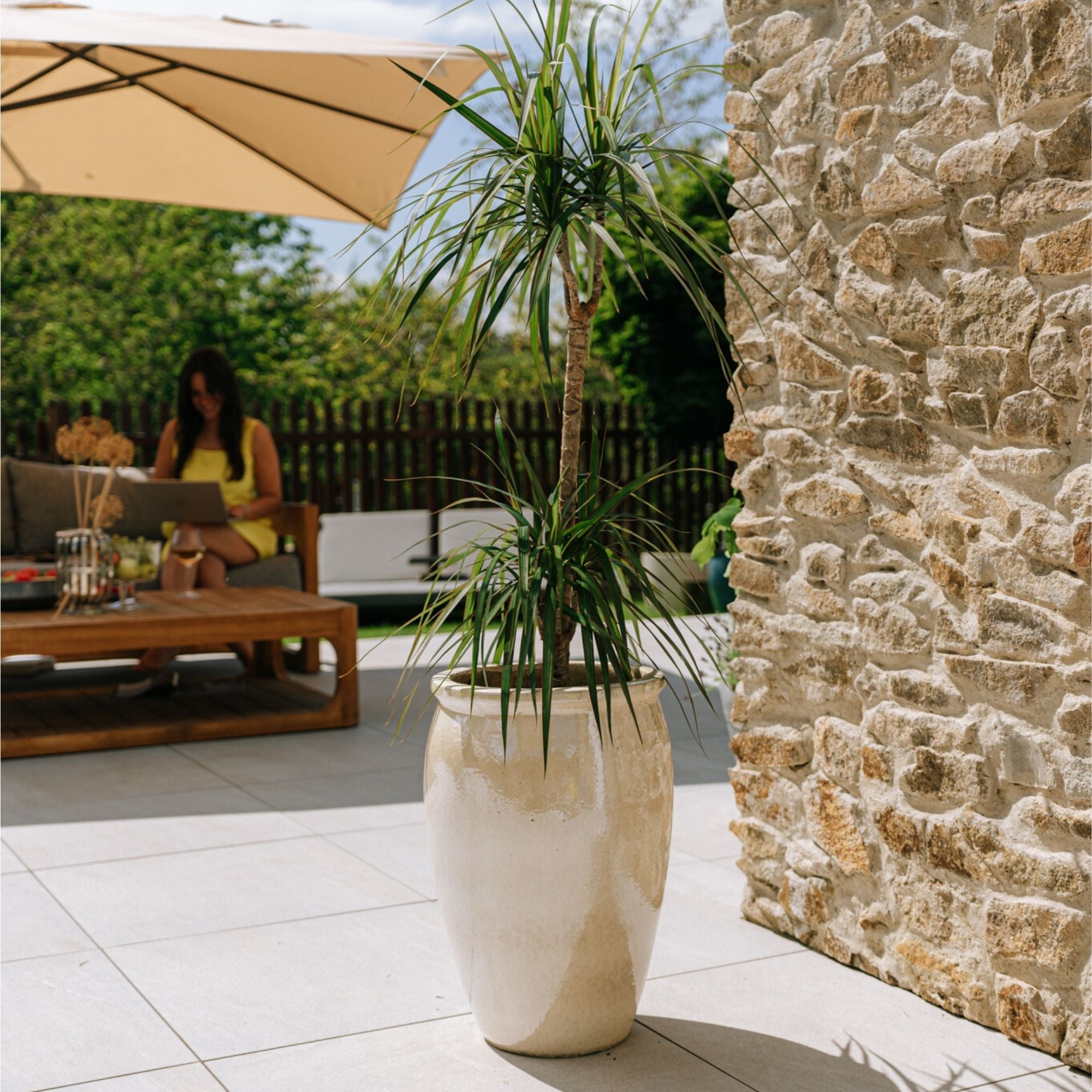 BACCHUS 36x52cm perle