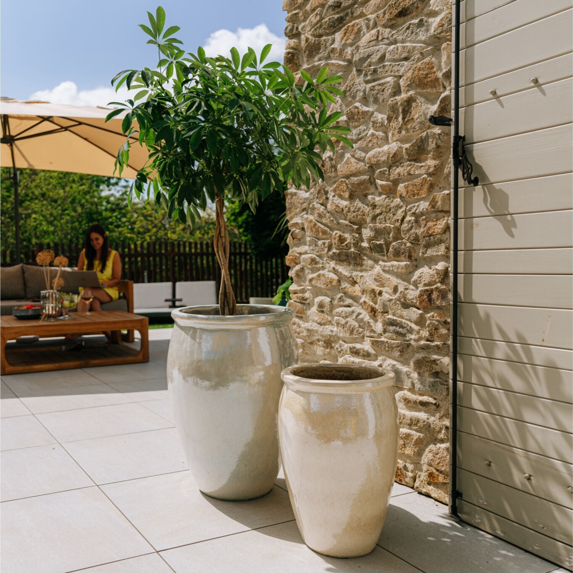 BACCHUS 36x52cm perle