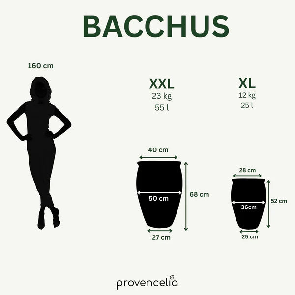 BACCHUS Pot 50x68cm jade