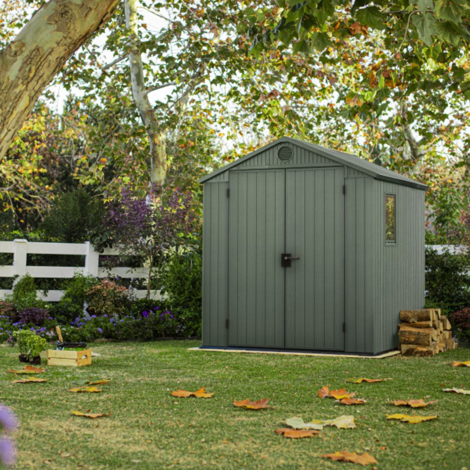 Abri de jardin DARWIN 6x6 Vert