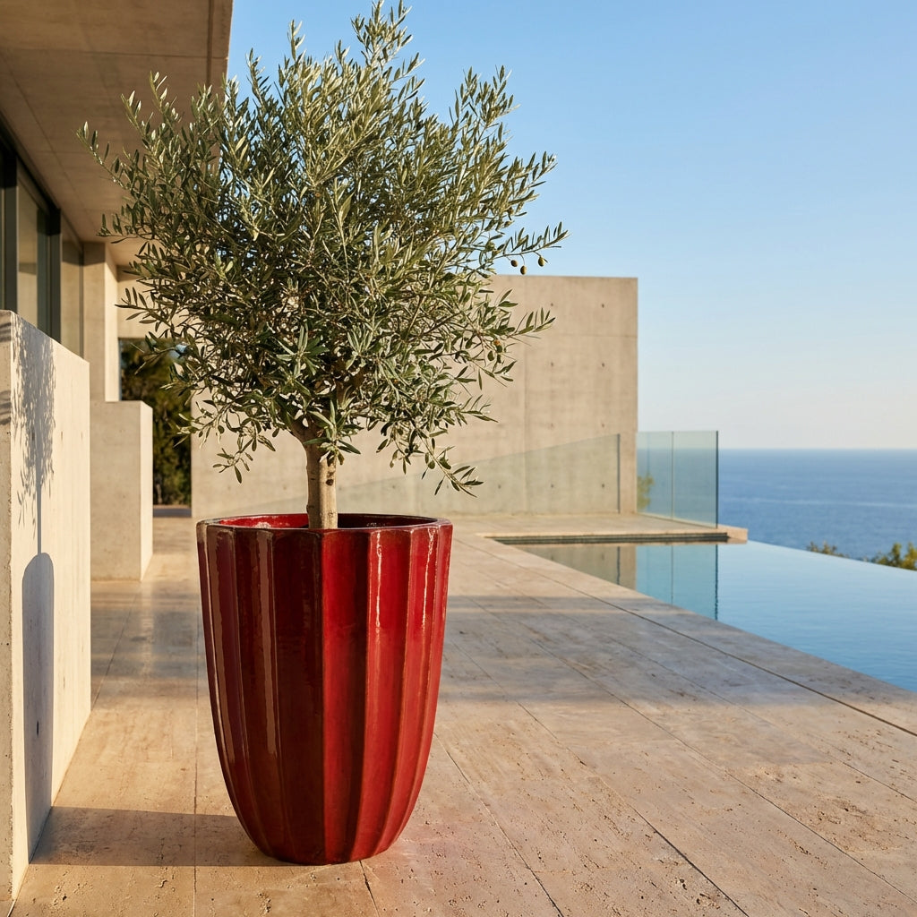 Pot HUGO 55x71cm rouge impérial