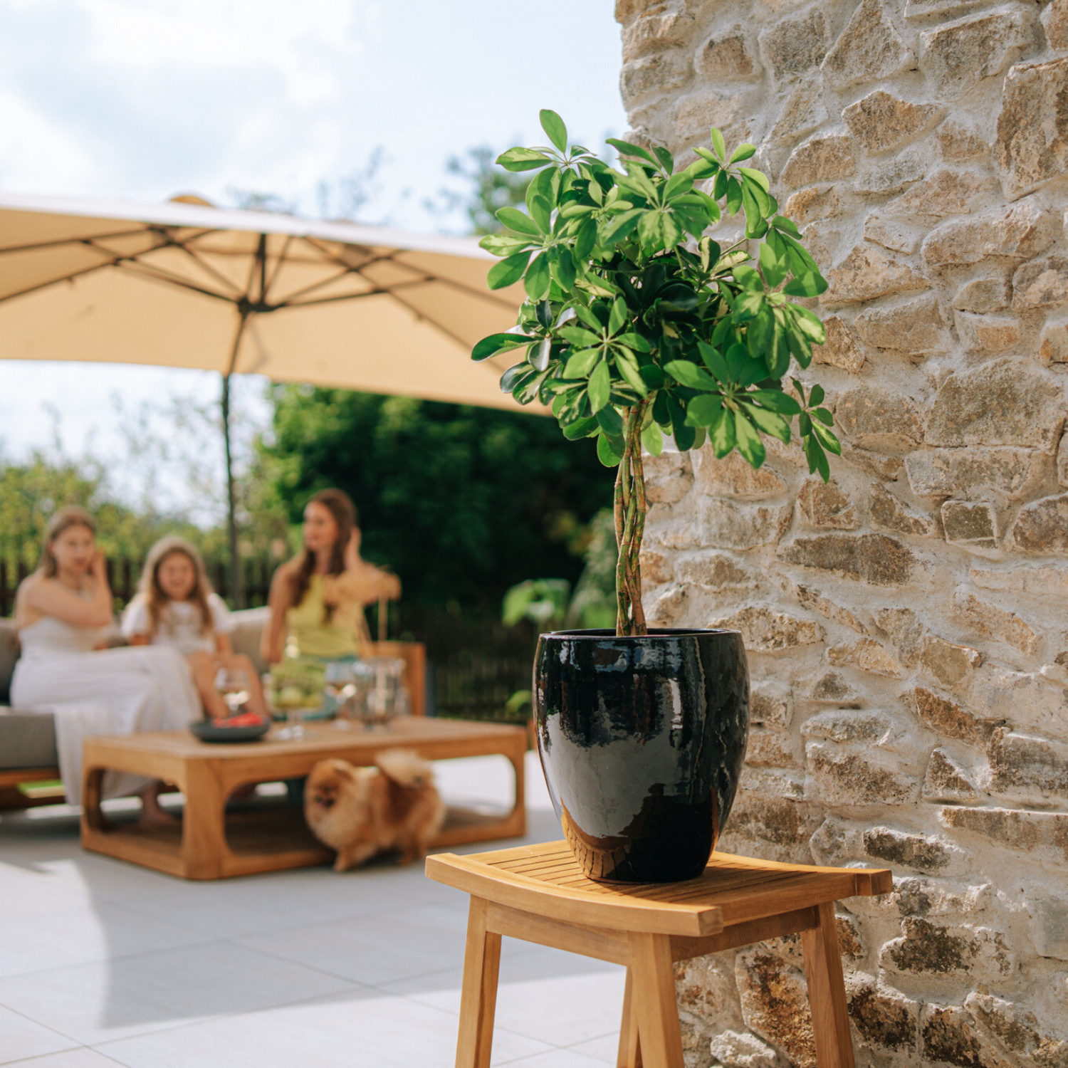 LAFONTAINE Pot 23x35cm black