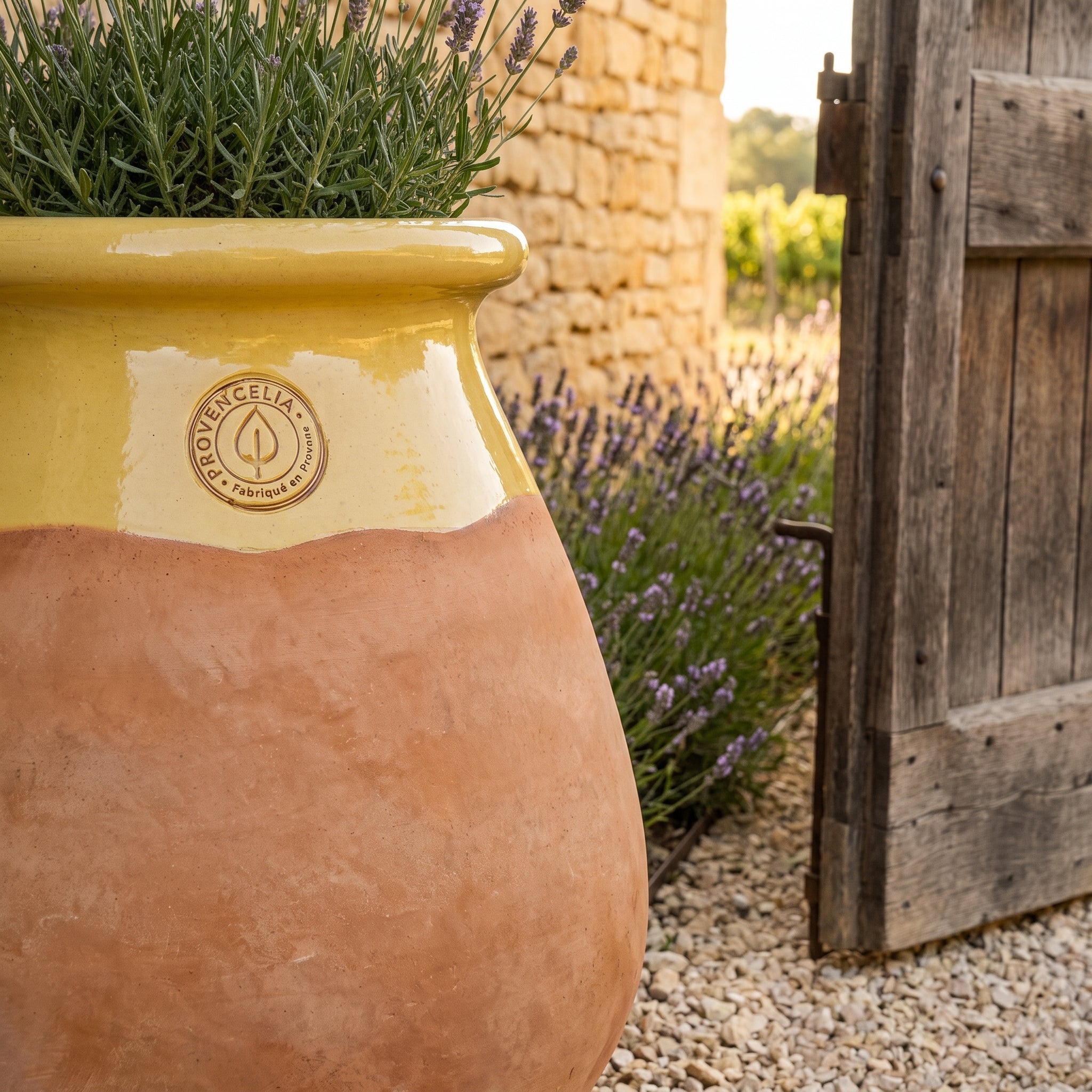 Terracotta urn with a honey-glazed neck planted with lavender, in front of a stone wall and vineyards