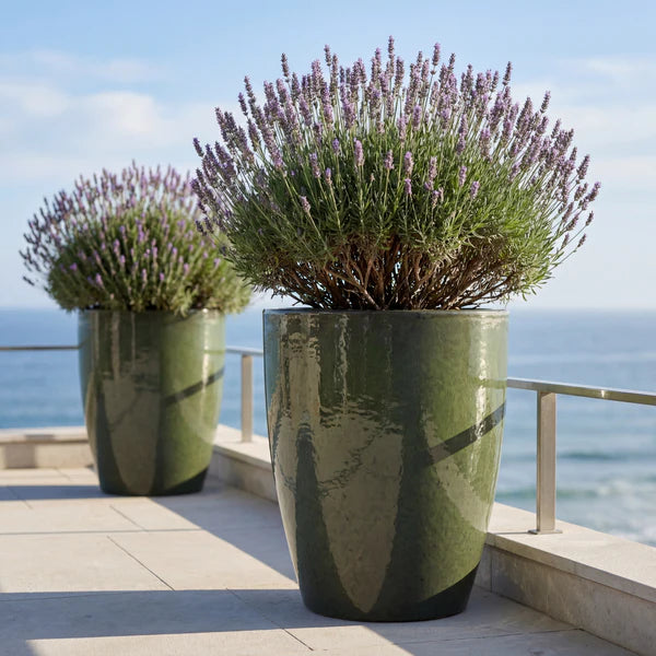 MAZARIN2 Pot 57x70cm deep green