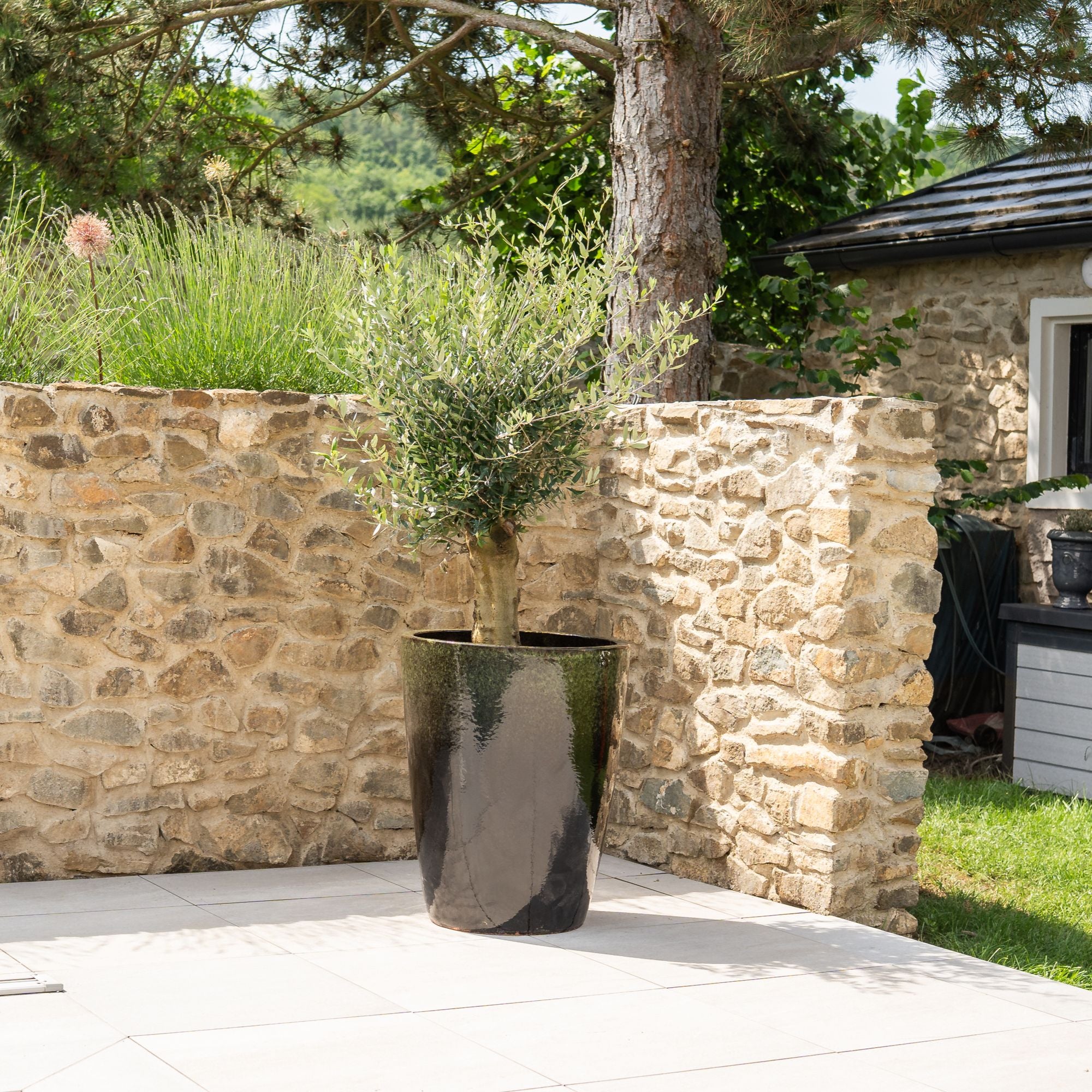 Pot MAZARIN 55x69cm noir & vert