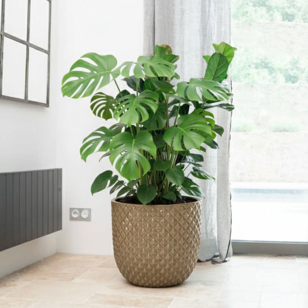 Pot MARS 30x30cm bronze sablé