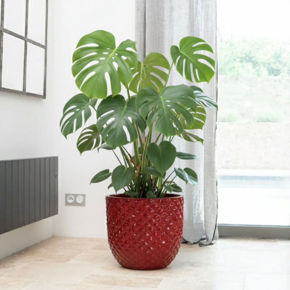 Vaso MARS 30x30cm rosso imperiale