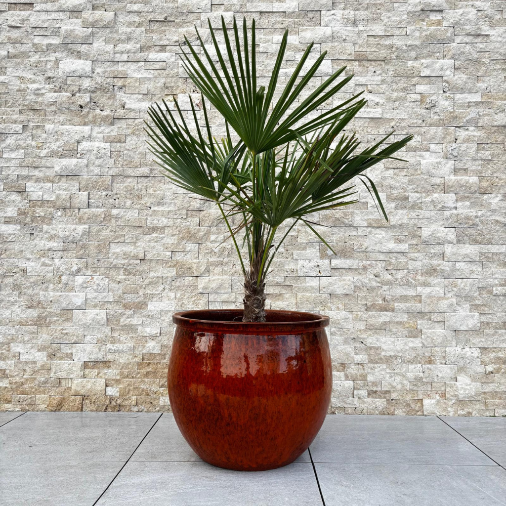 Pot NEWTON 55x46cm orange tropical