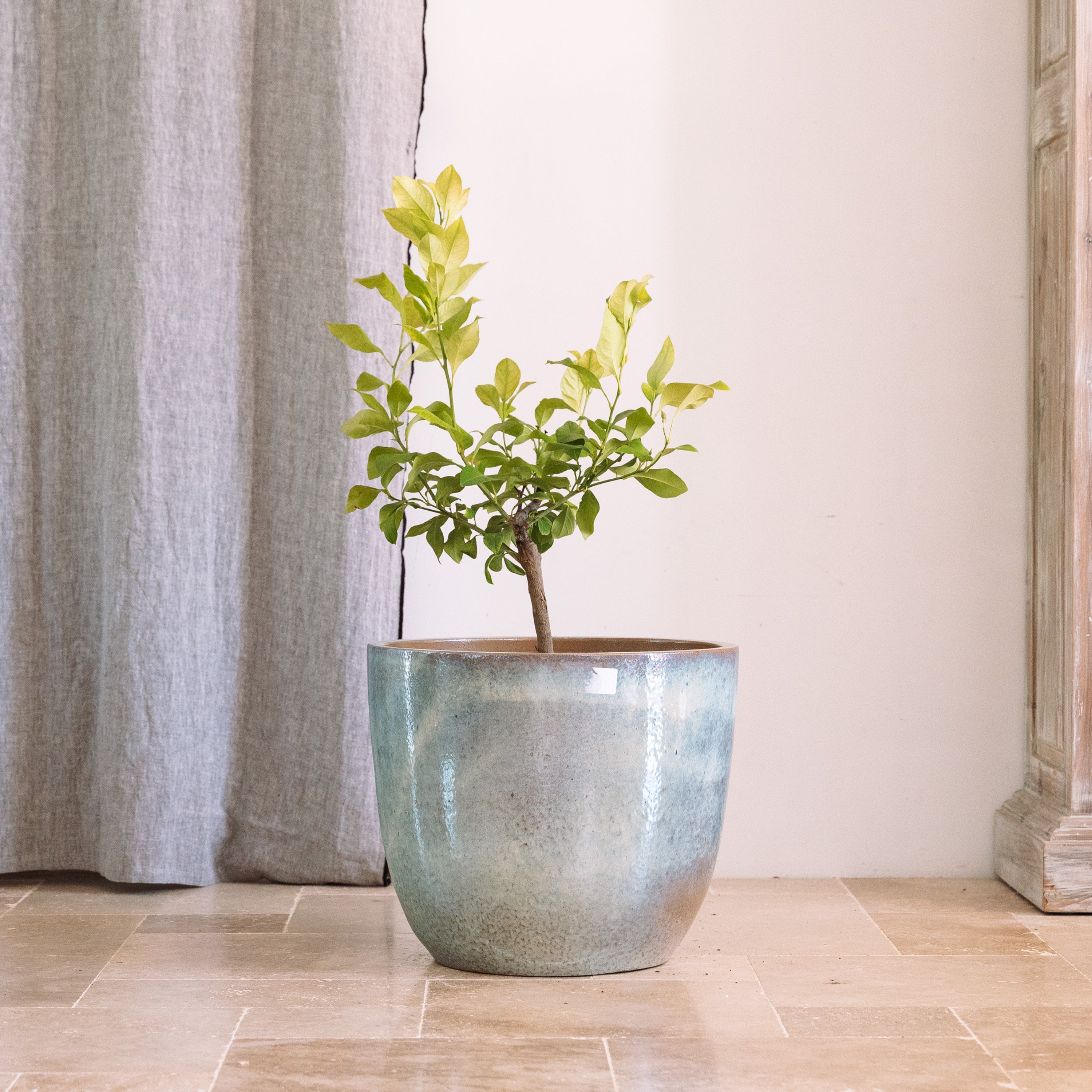 Pot LANCELOT 57x50cm perle