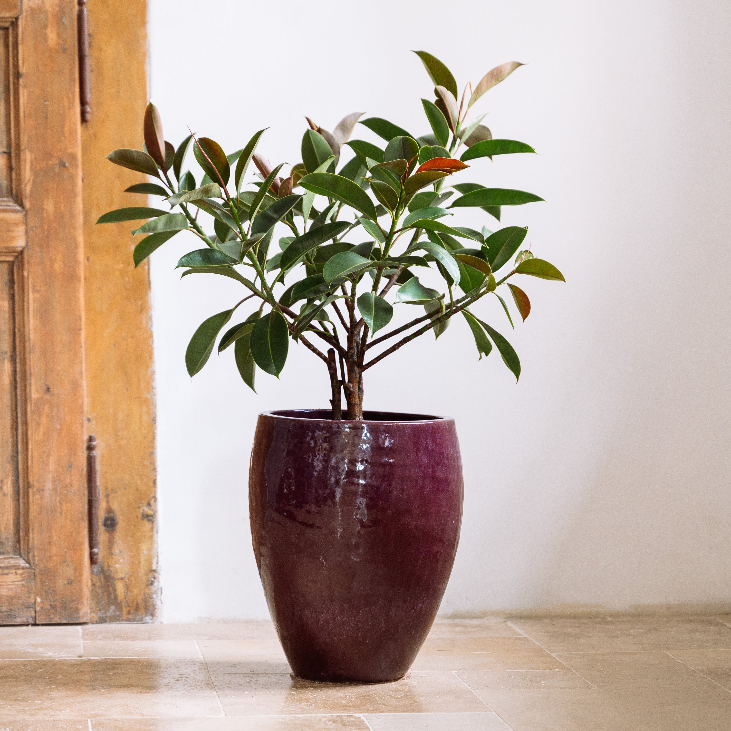 Pot POSEIDON2 46x55cm violet clair