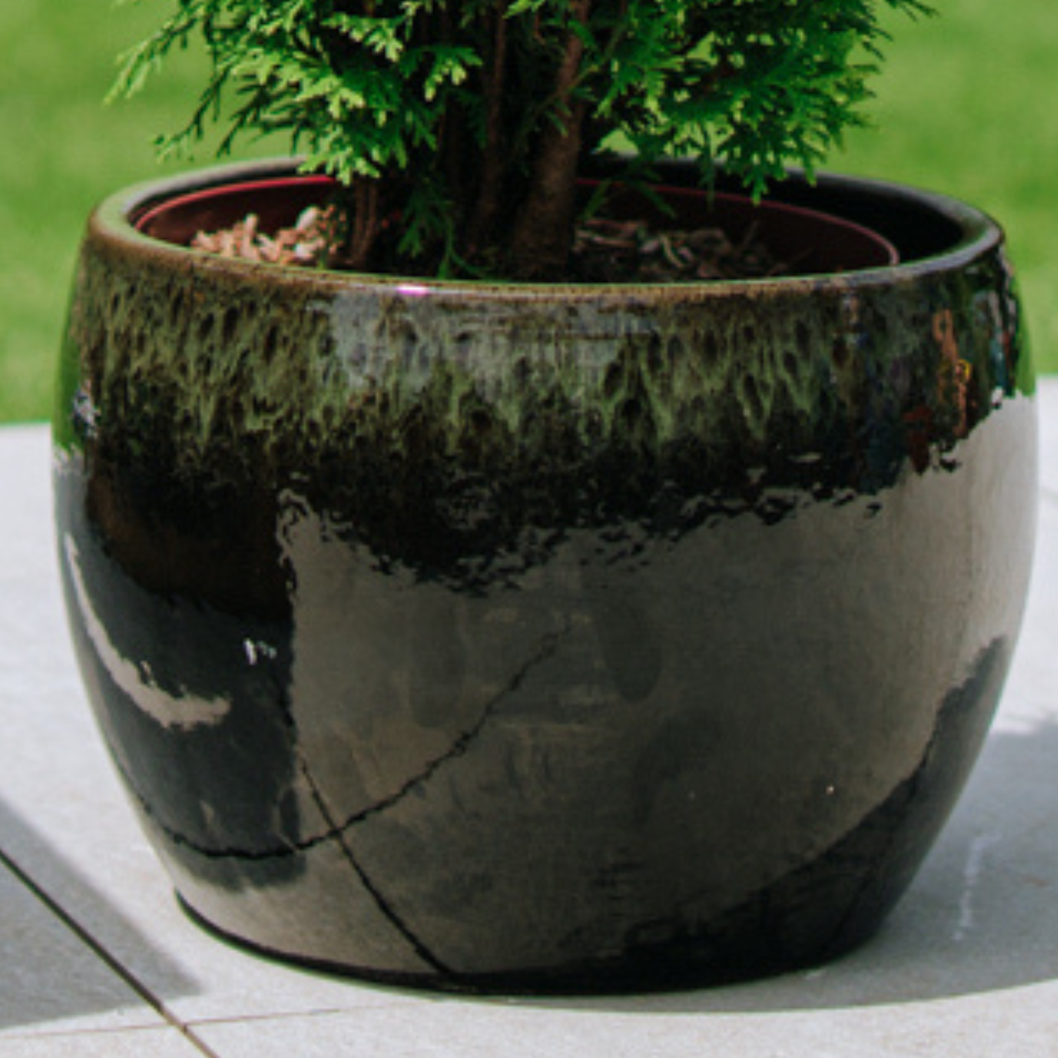 ROMULUS pot 21x15cm black & green