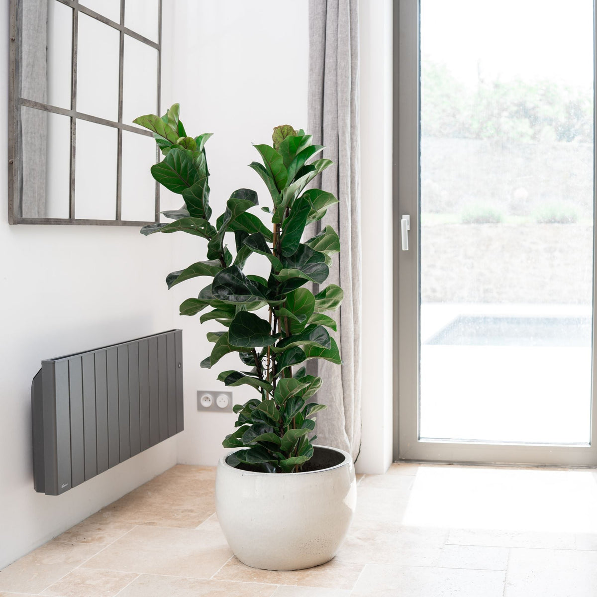 Pot ROMULUS rond 42x30 cm crème en terre cuite émaillée, avec plante verte en intérieur