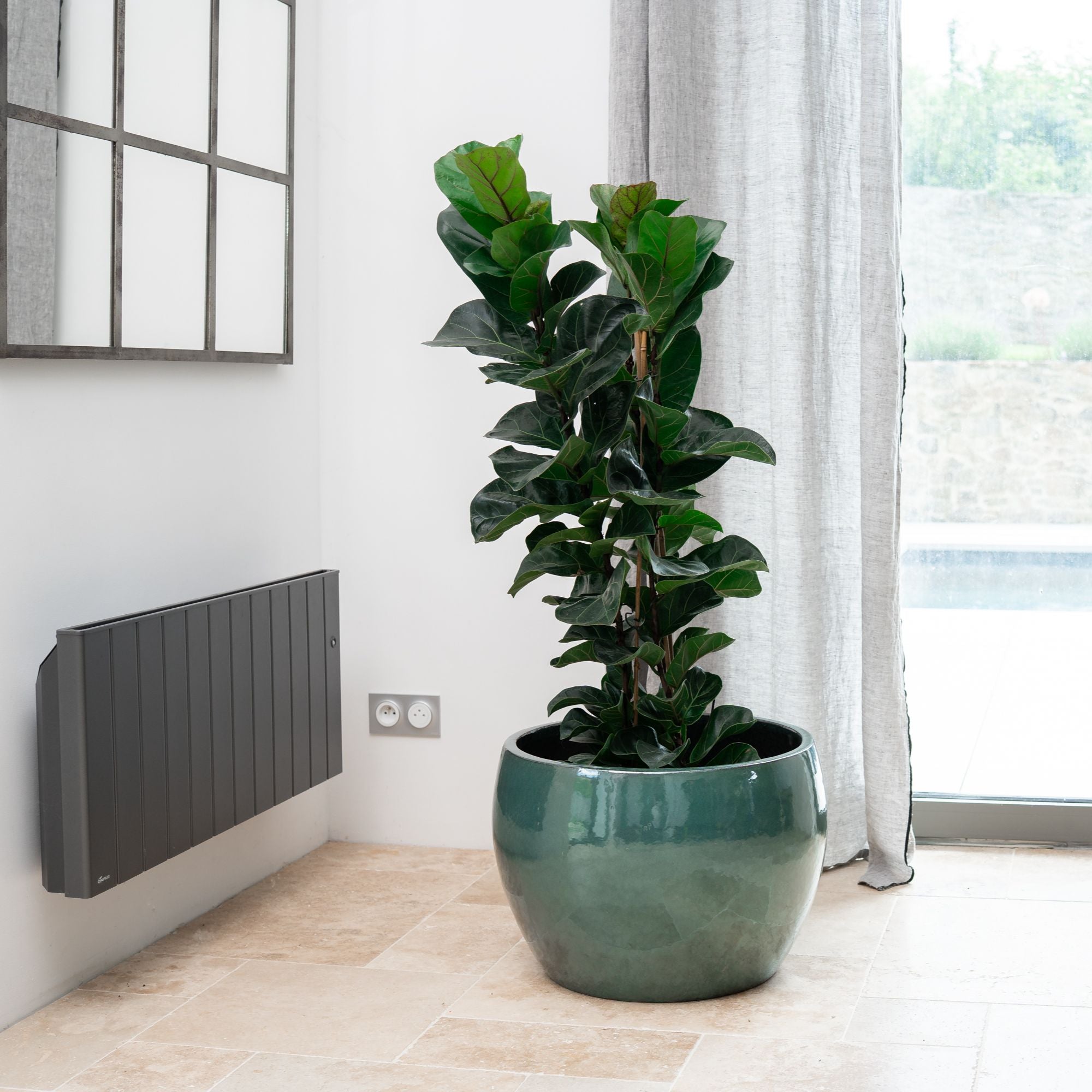 Pot ROMULUS rond 55x38 cm jade en terre cuite émaillée, avec plante verte en intérieur
