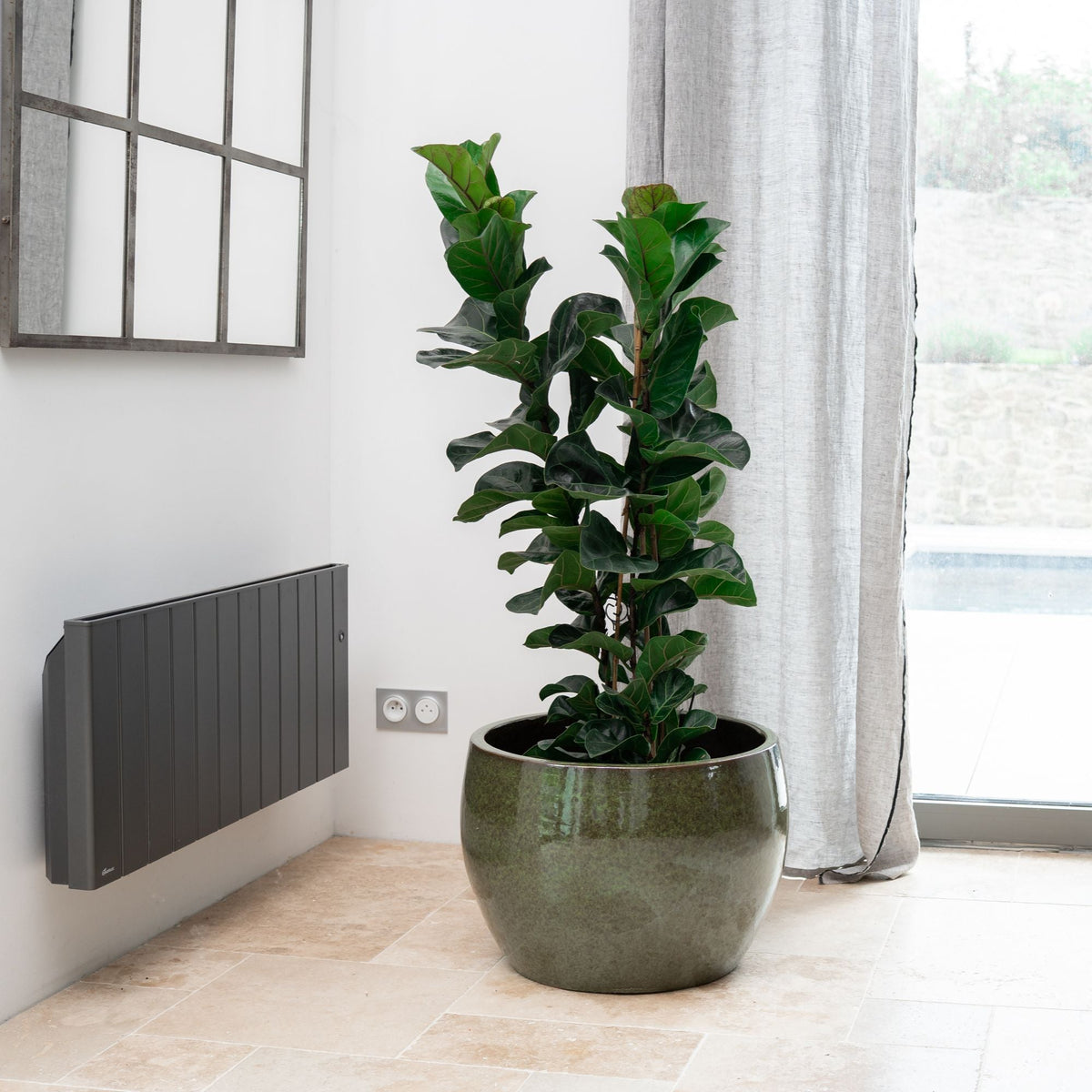 Pot ROMULUS rond 55x38 cm vert tropical en terre cuite émaillée, plante verte en intérieur