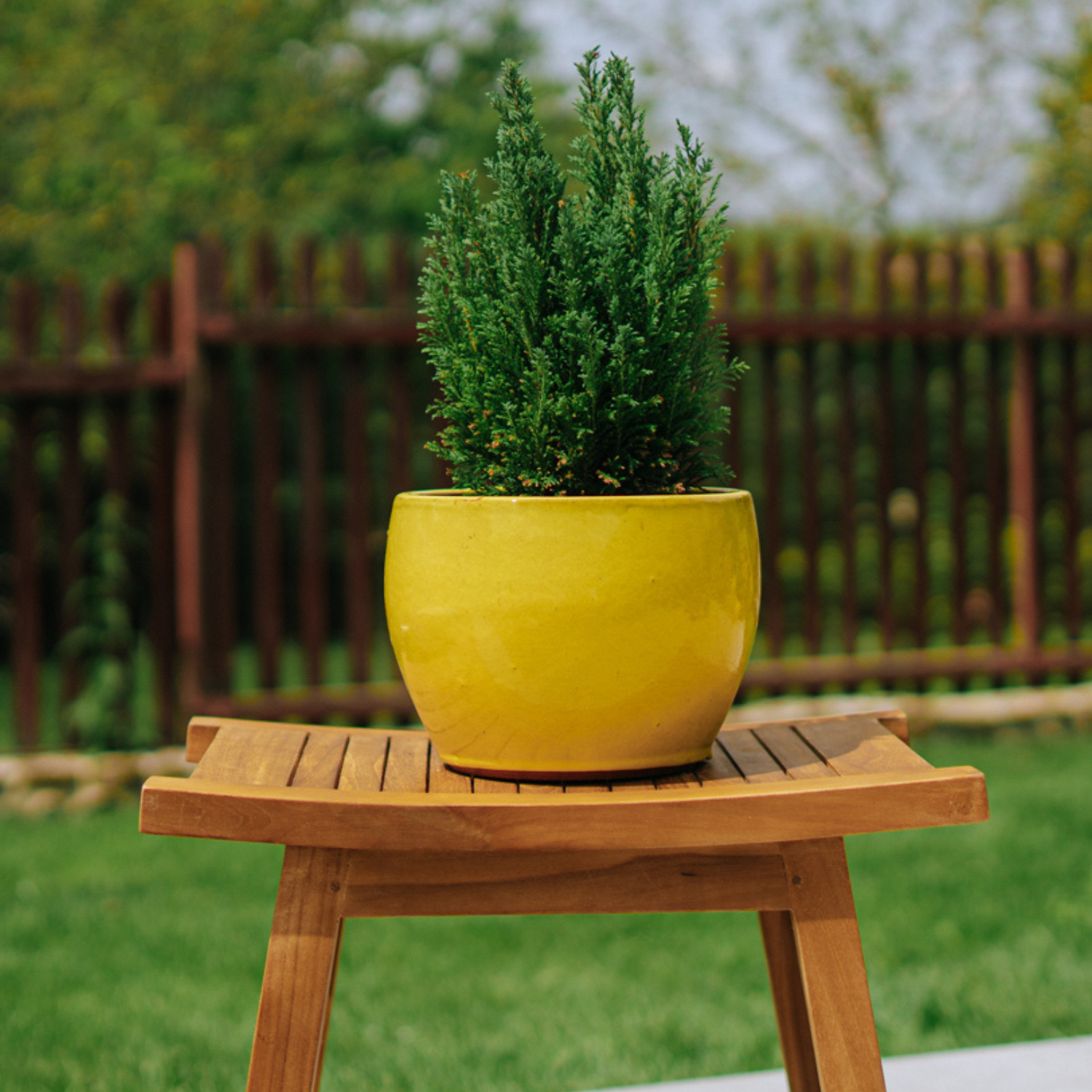 Maceta ROMULUS 21x15cm amarillo