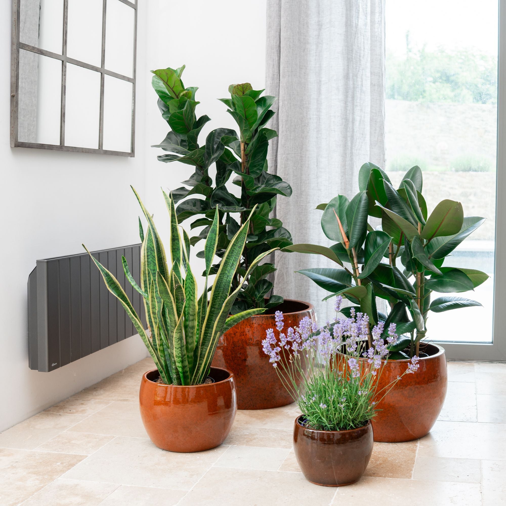 Pot ROMULUS 55x38cm orange tropical