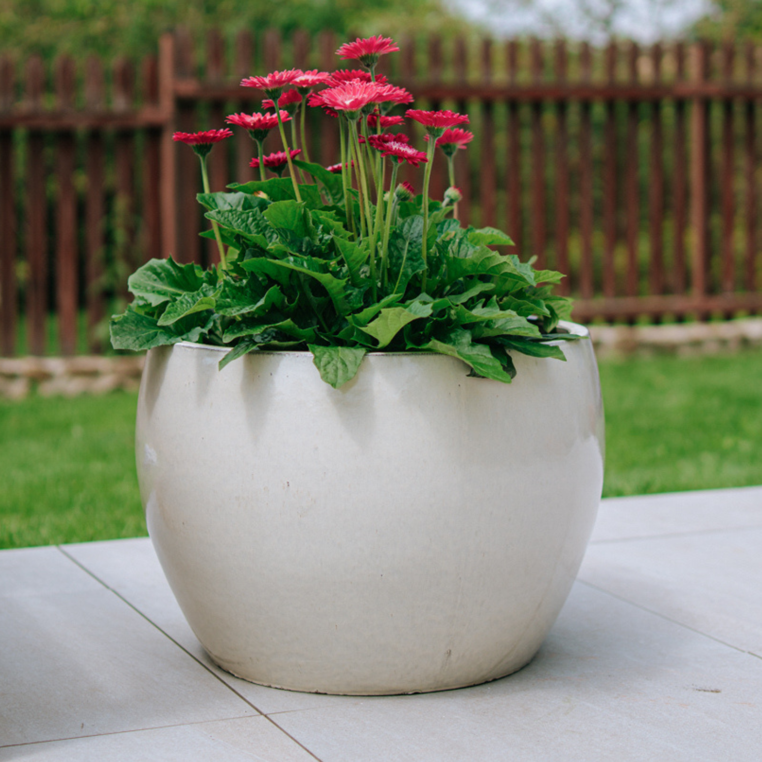 ROMULUS Pot 31x23cm cream