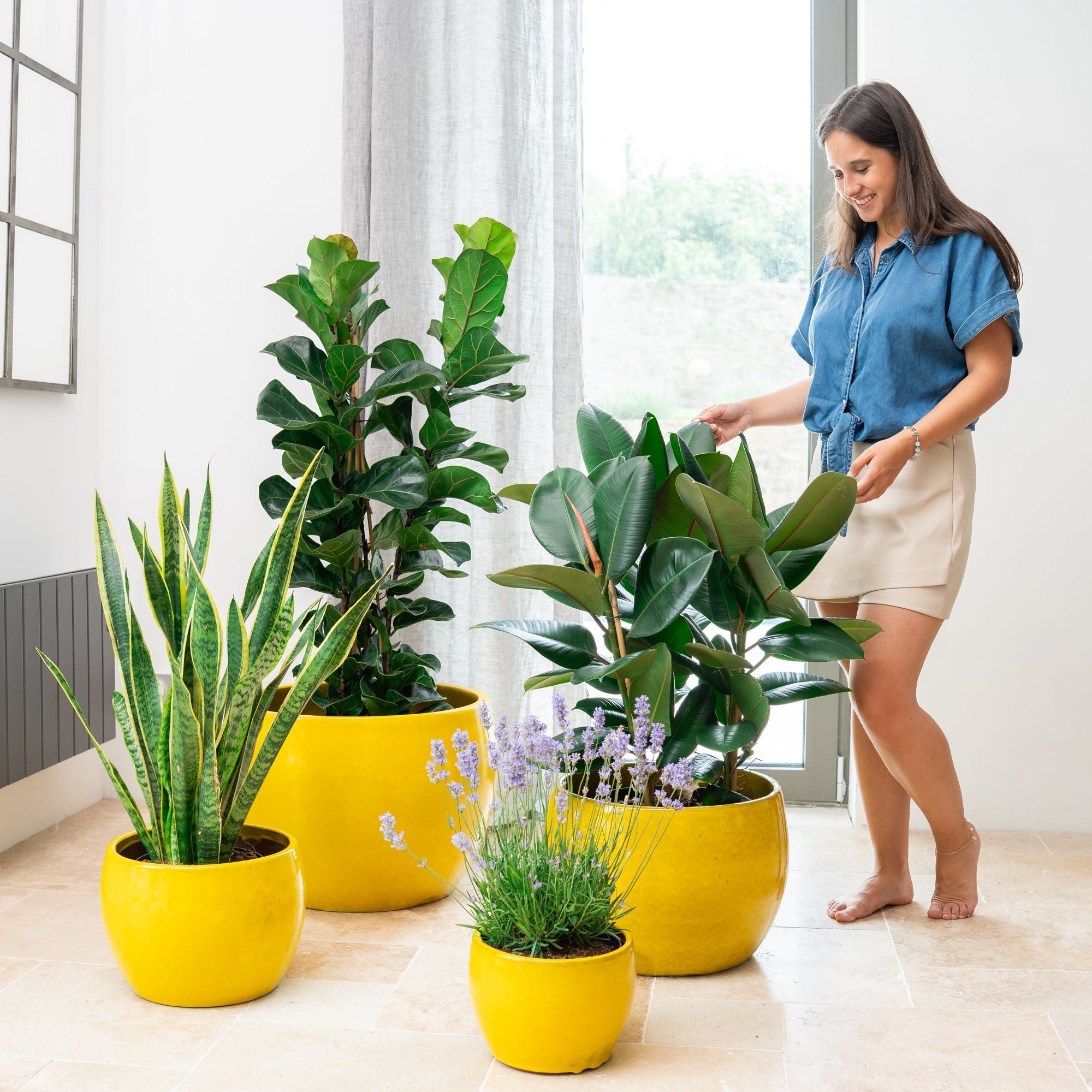 Pot ROMULUS 55x38cm jaune