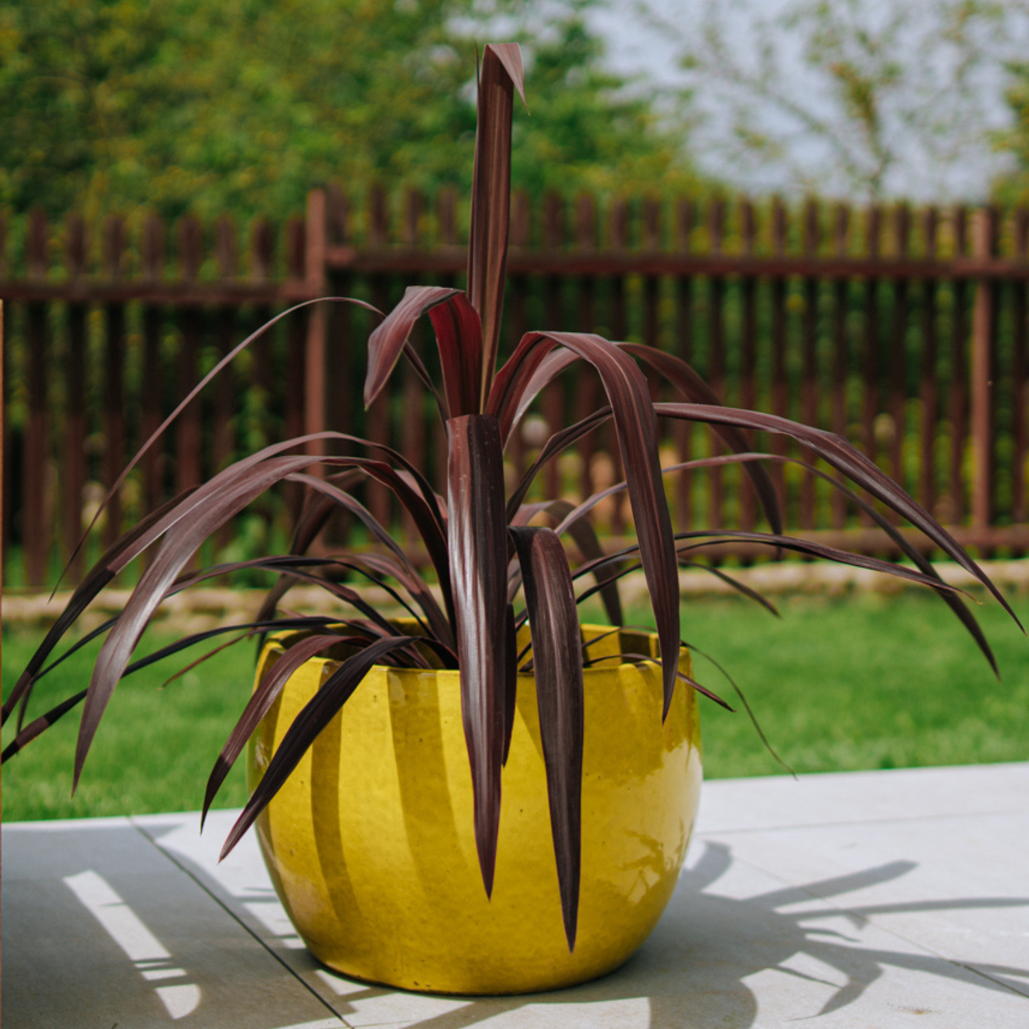ROMULUS Pot 42x30cm yellow