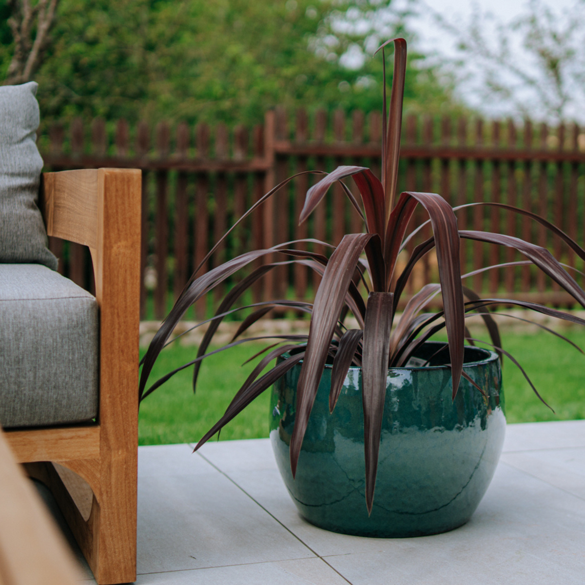 Pot ROMULUS rond 42x30 cm jade en terre cuite émaillée, avec plante à feuillage sombre en terrasse
