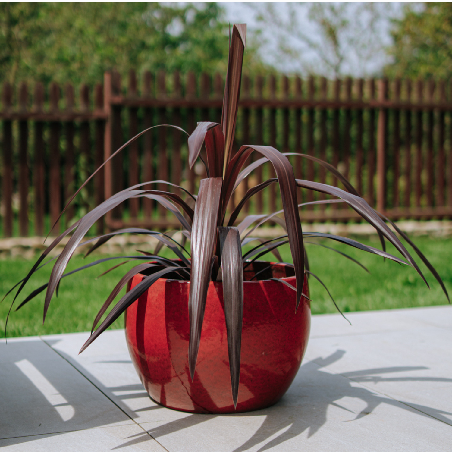 Maceta ROMULUS 42x30cm rojo tropical