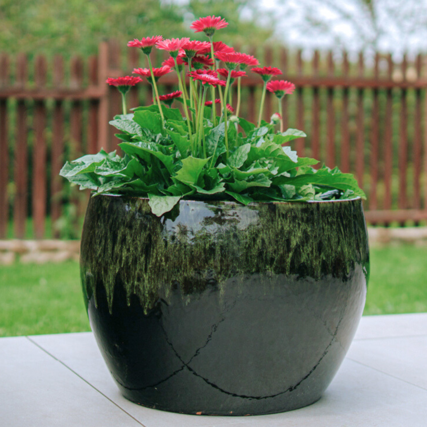ROMULUS Pot 42x30cm black & green