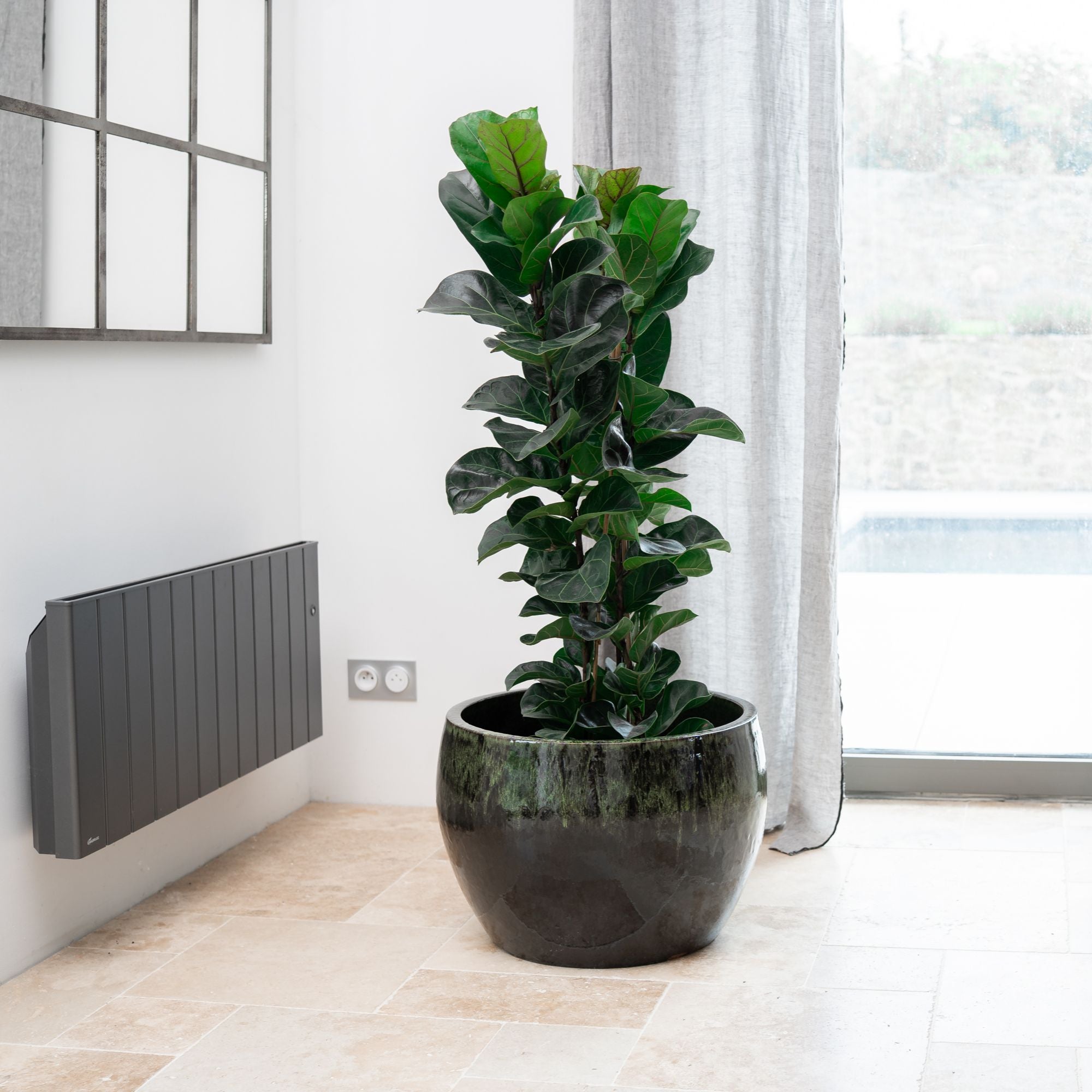 Vaso ROMULUS 55x38cm nero & verde