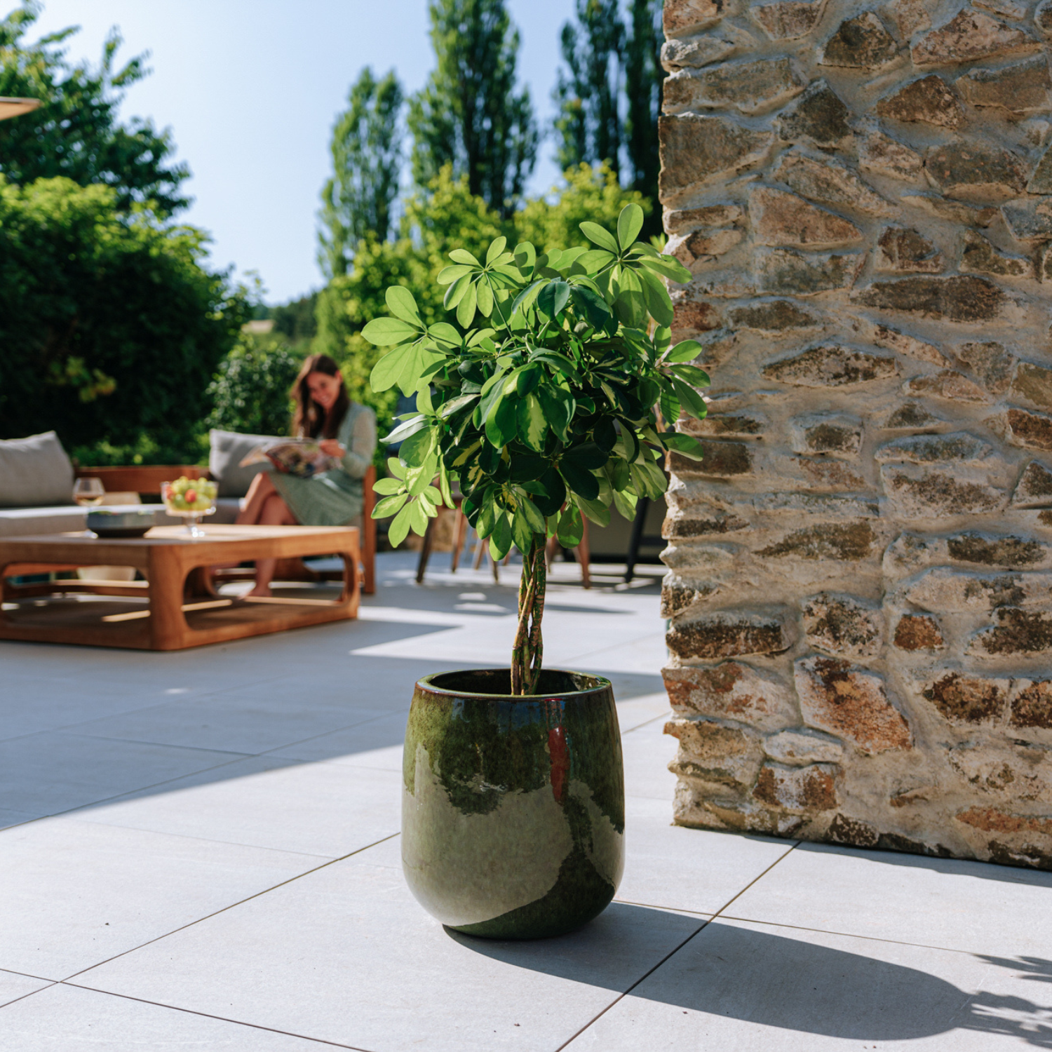 Pot SOCRATE32x33cm vert tropical