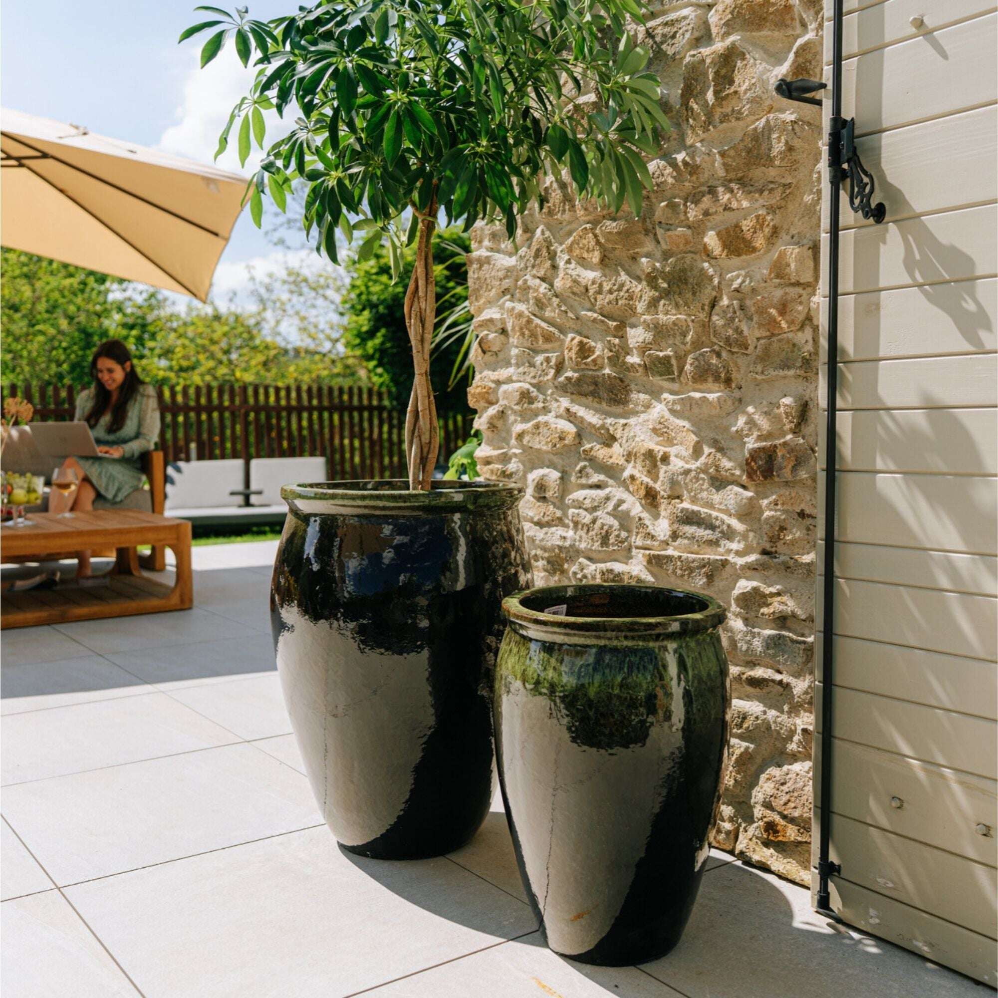 BACCHUS 36x52cm noir & vert Provencelia