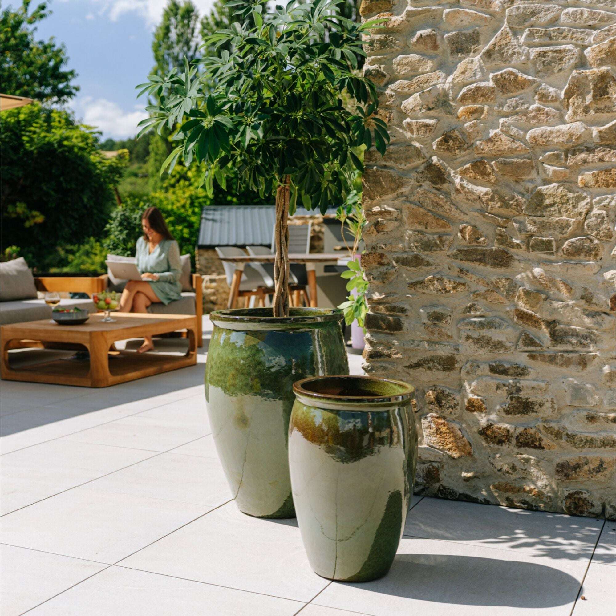 BACCHUS 50x68cm vert tropical Provencelia