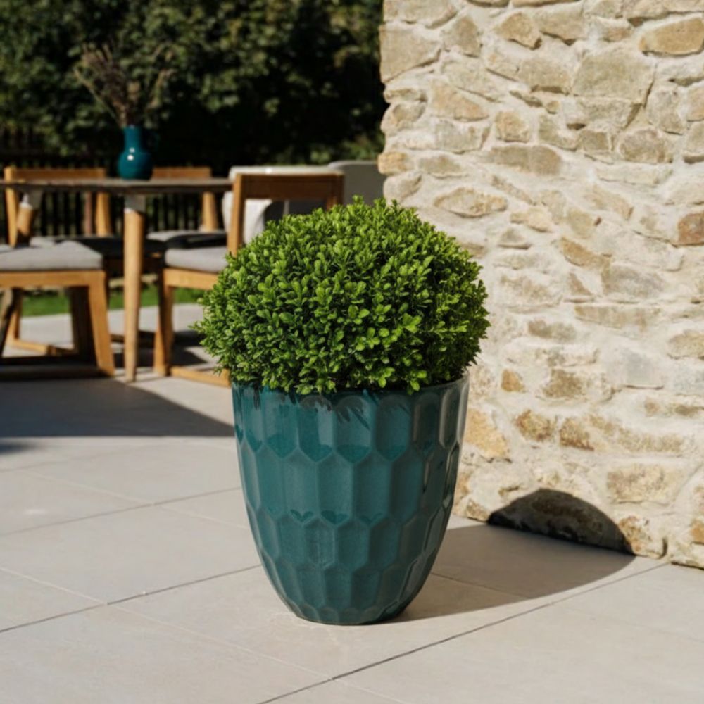 Macetero Daudet decorativo Azul petróleo de cerámica esmaltada, con arbusto redondo en una terraza