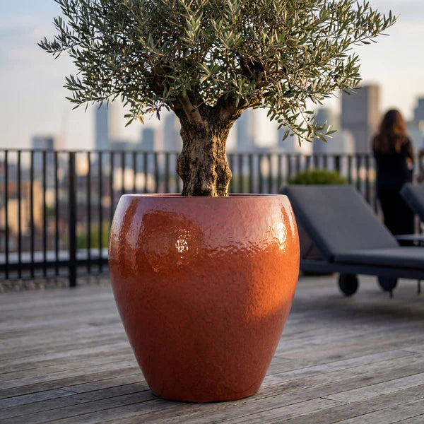 Vaso Lafontaine2 a forma di anfora Aurora in ceramica smaltata, con ulivo su terrazza