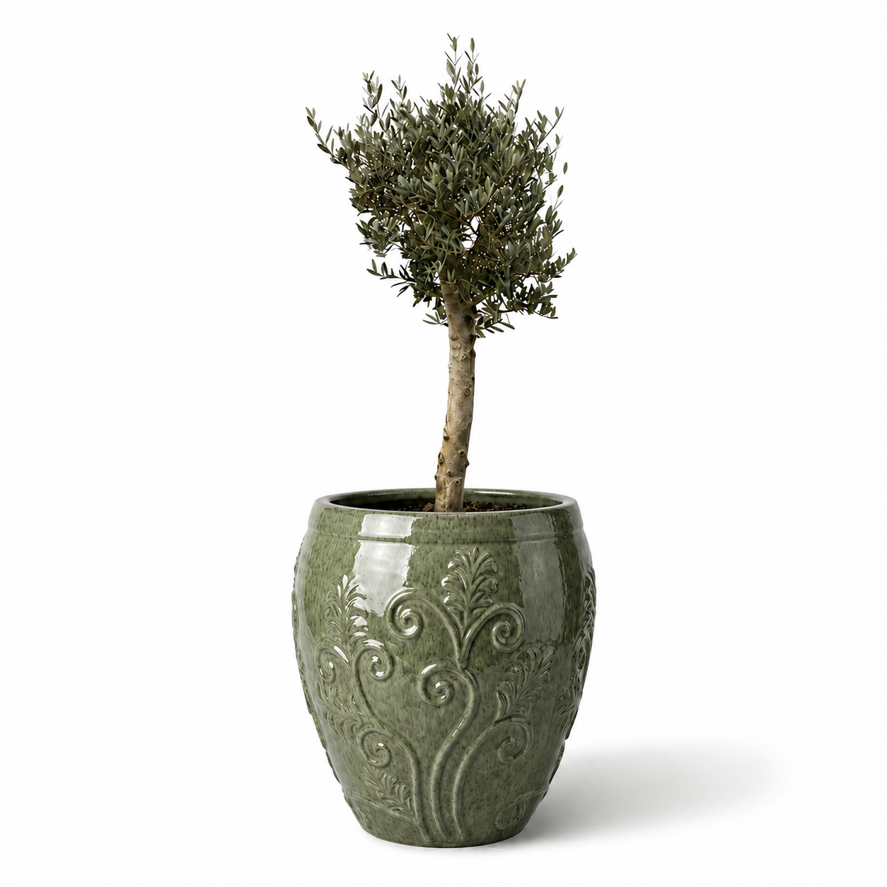 Lot olivier + pot GAIA 75x78cm perles de jade, fait main en terre cuite émaillée