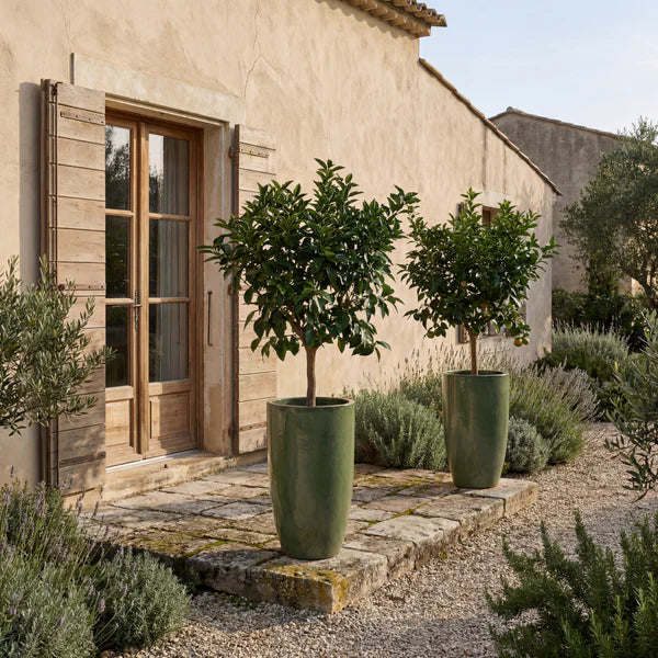 Deep green Eiffel glazed ceramic planter, with trees in front of the entrance