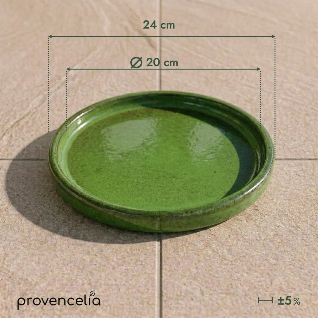 Platillo de 20 cm verde intenso, vista superior con dimensiones