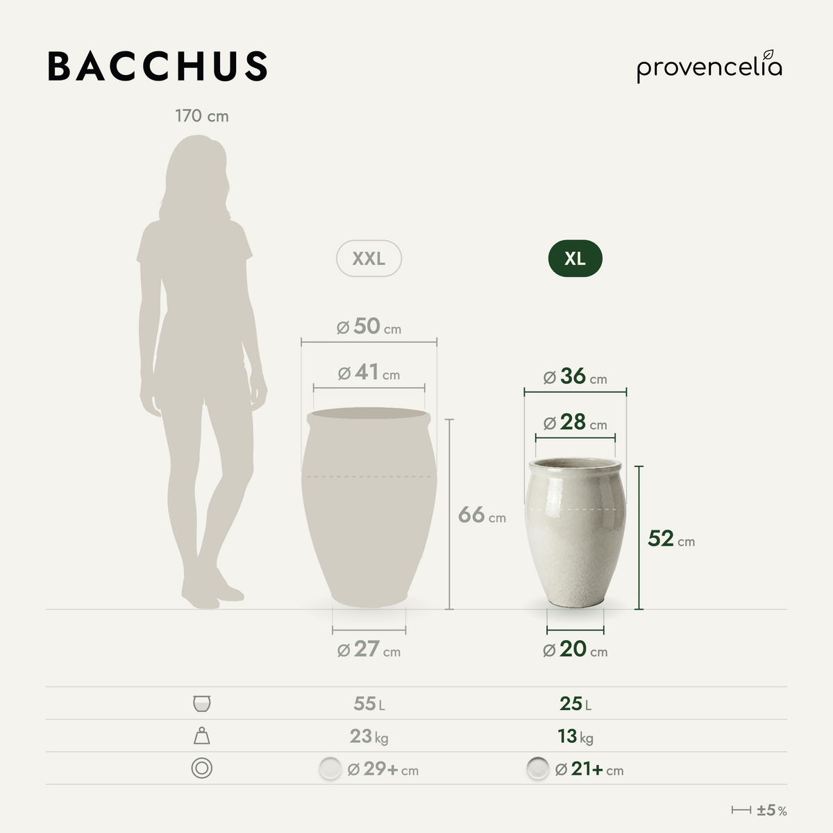 BACCHUS XL – dimensions