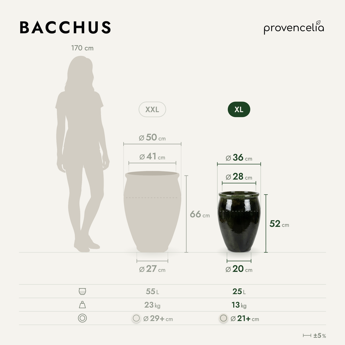 BACCHUS XL – dimensions