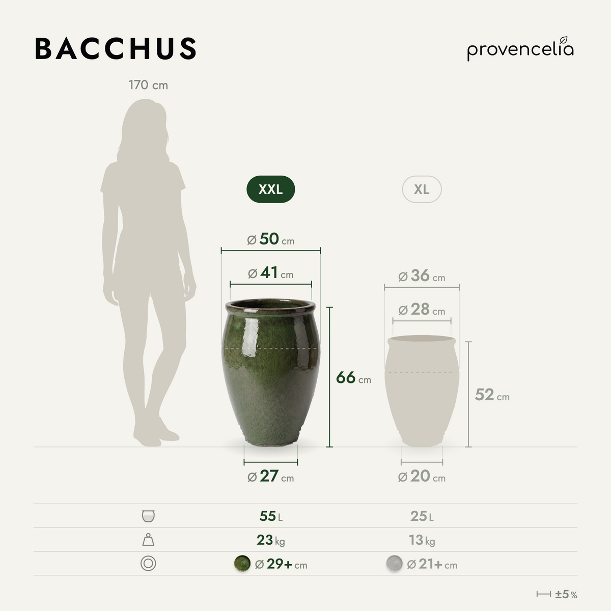 BACCHUS XXL – dimensions