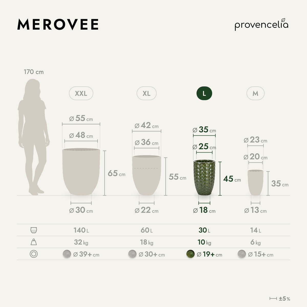 MEROVEE L – dimensions
