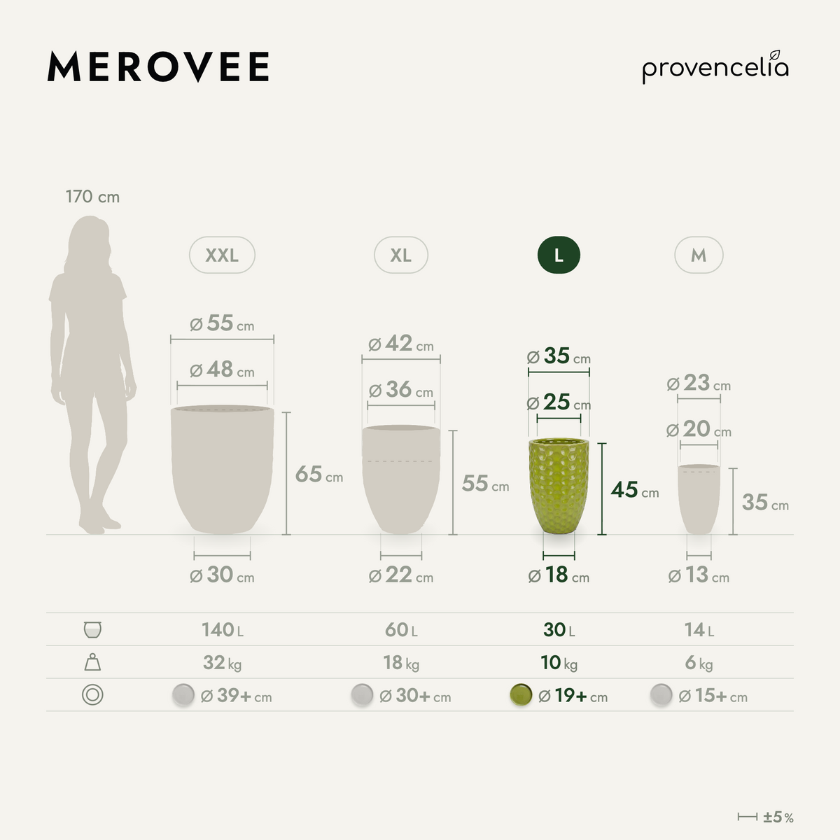 MEROVEE L – dimensions