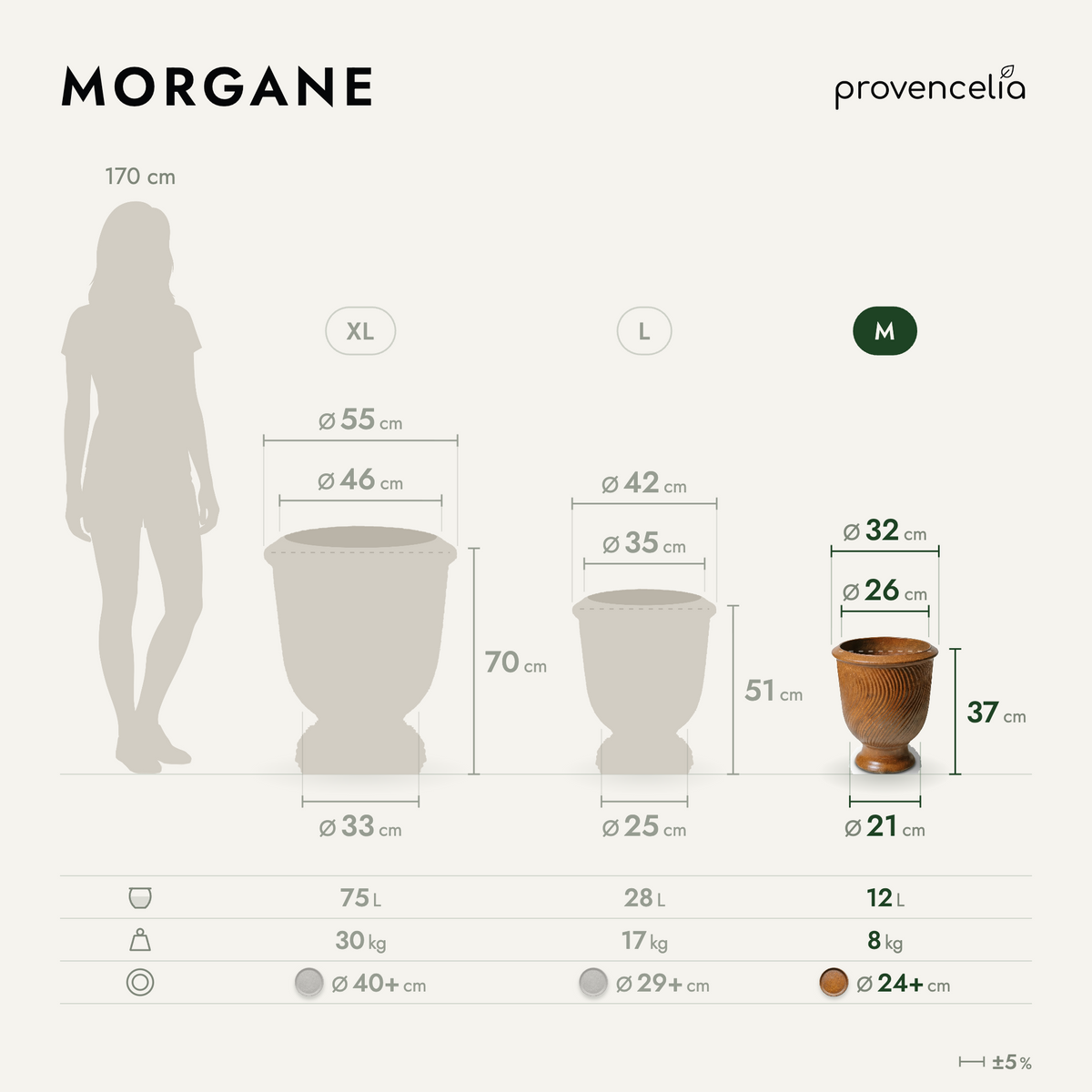 MORGANE M – dimensions