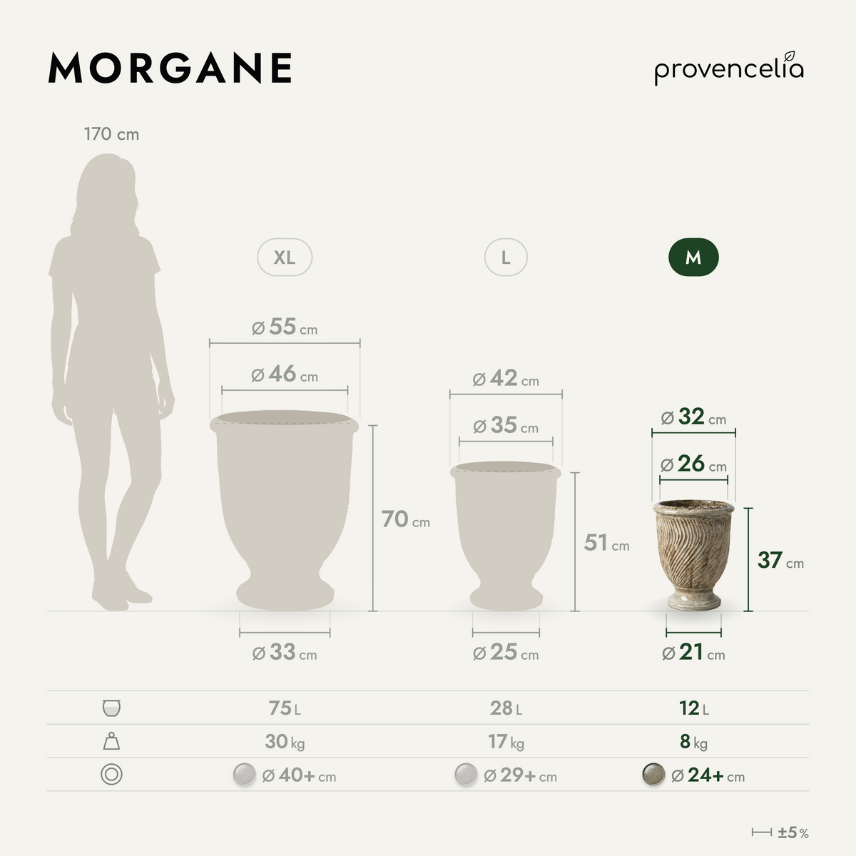 MORGANE M – dimensioni