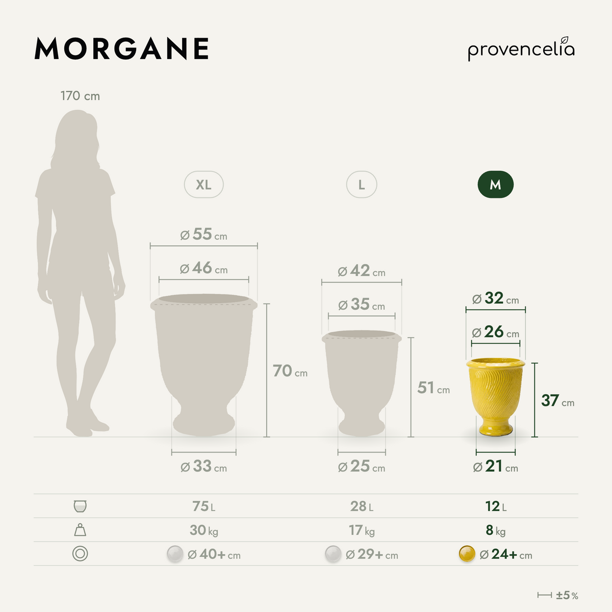 MORGANE M – dimensions